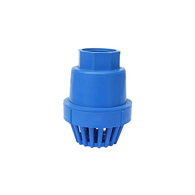 Foot Valves Supplier