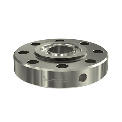 MS O Ring Flange Manufacturer